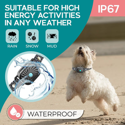 Adjustable Anti-Bark Dog's Collar