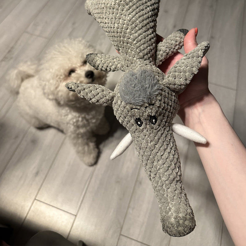 Durable Plush Dog's Toy
