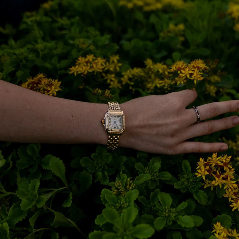 Stylish Fashion Square Watch
