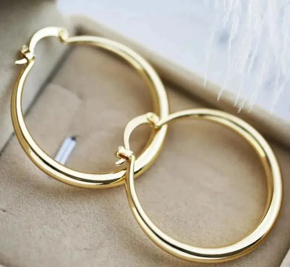 Radiant Gold Hoop Earrings with Stones