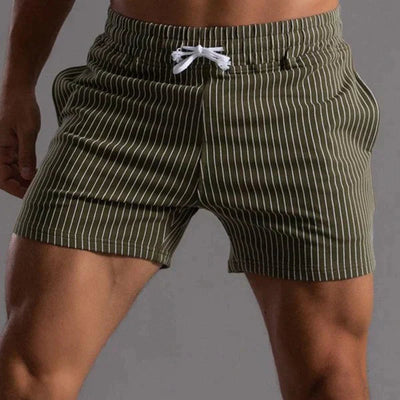 Men's Casual Quick-Dry Swim Shorts