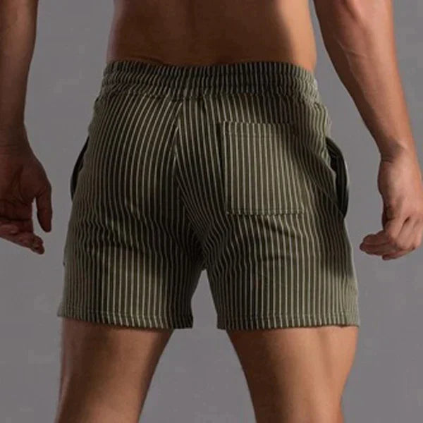 Men's Casual Quick-Dry Swim Shorts
