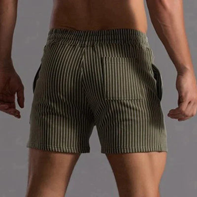 Men's Casual Quick-Dry Swim Shorts