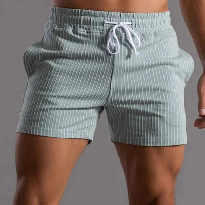 Men's Casual Quick-Dry Swim Shorts