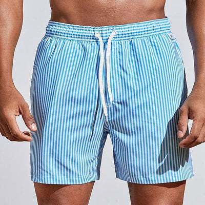 Men's Striped Quick-Dry Swim Shorts