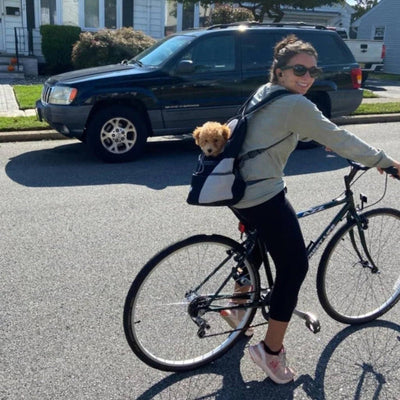 Adjustable Pet Travel Backpack Carrier