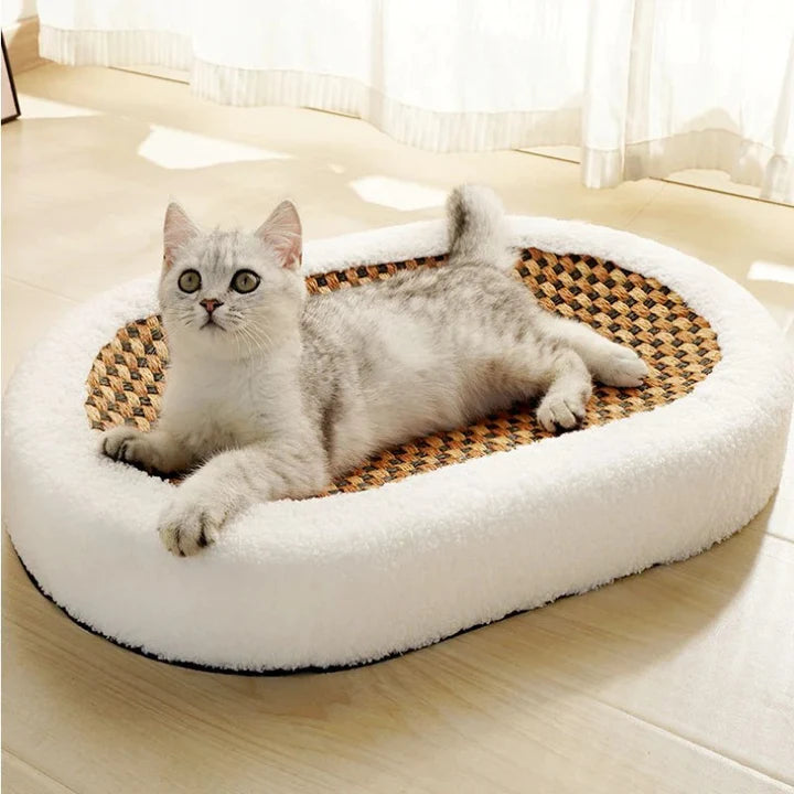 Cozy Scratching Bed for Cats
