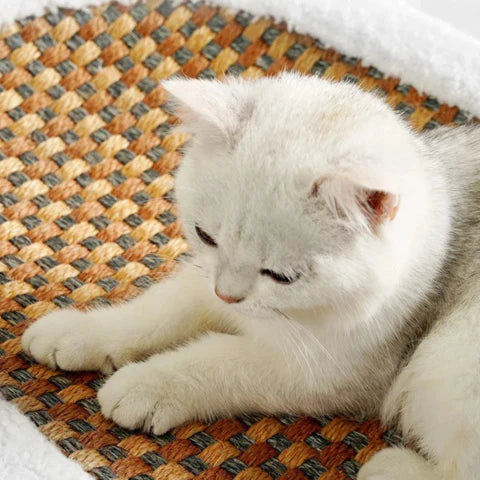 Cozy Scratching Bed for Cats