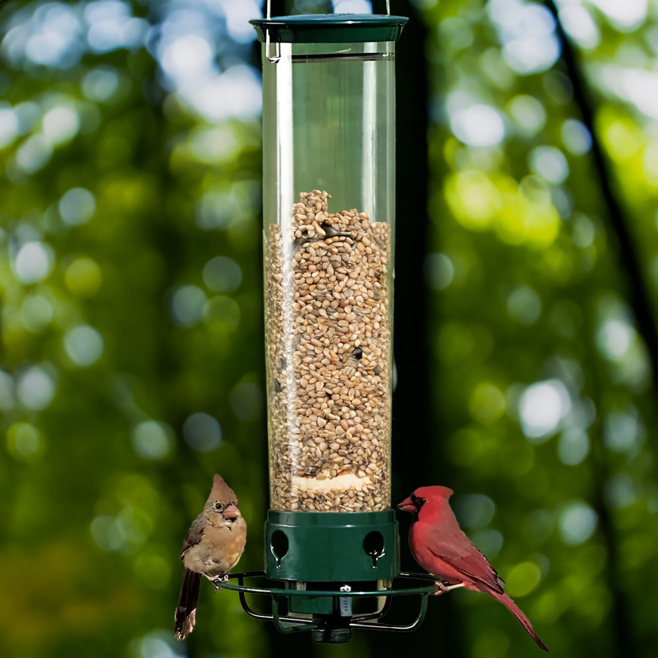 Outdoor Squirrel Resistant Bird Feeder