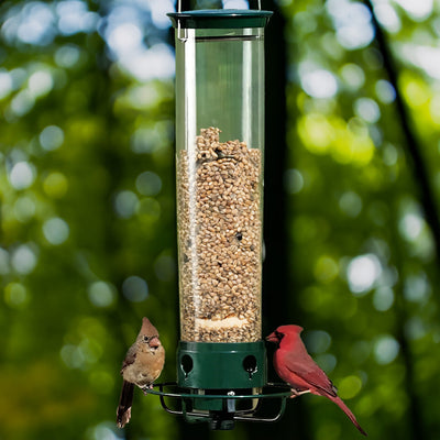 Outdoor Squirrel Resistant Bird Feeder