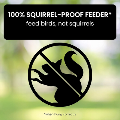 Outdoor Squirrel Resistant Bird Feeder
