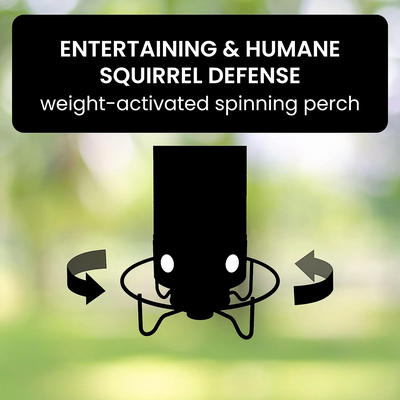Outdoor Squirrel Resistant Bird Feeder