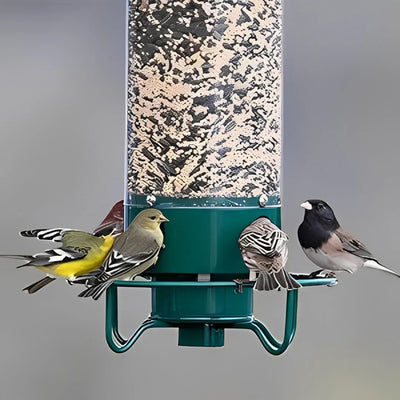 Outdoor Squirrel Resistant Bird Feeder