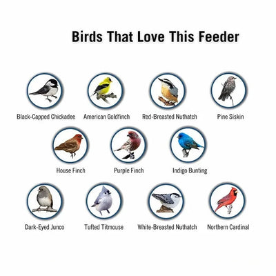 Outdoor Squirrel Resistant Bird Feeder